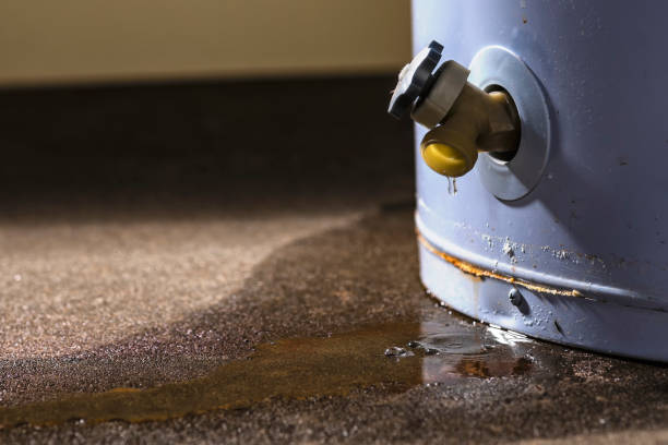 Best Residential water damage restoration  in Hollidaysburg, PA