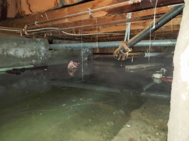 Best Water damage restoration near me  in Hollidaysburg, PA