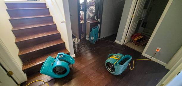 Trusted Hollidaysburg, PA Water damage restoration Experts