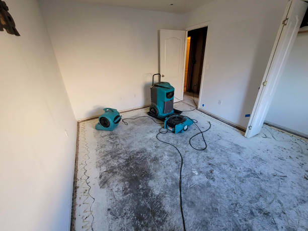 Water damage restoration experts in Hollidaysburg, PA