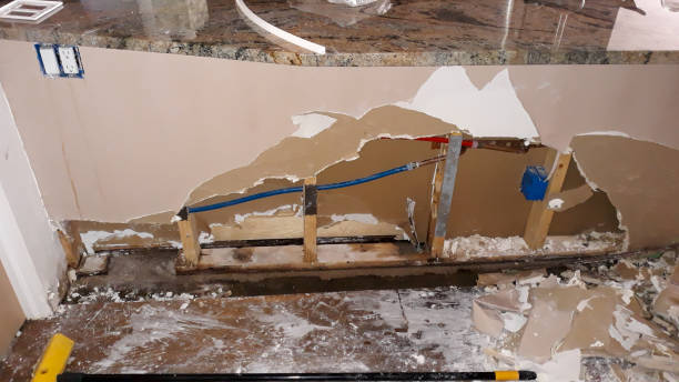 Best Sewage cleanup and water damage restoration  in Hollidaysburg, PA