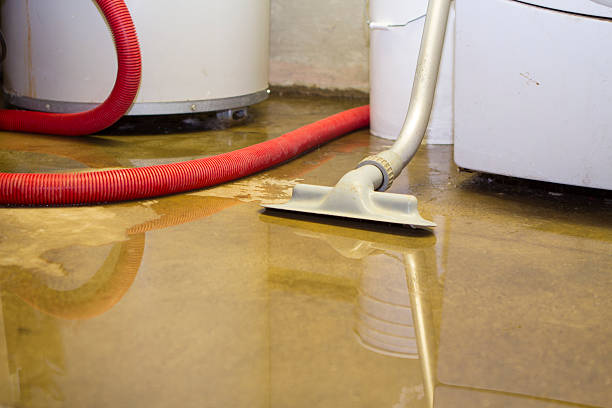 Best Residential water damage restoration  in Hollidaysburg, PA