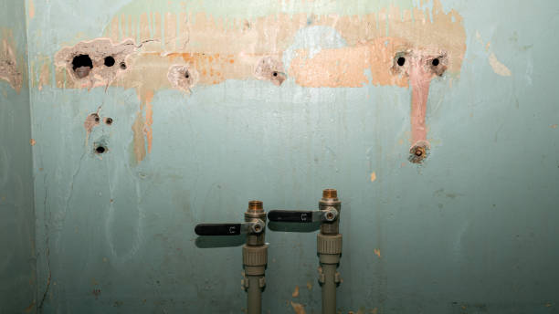 Carpet water damage restoration in Hollidaysburg, PA
