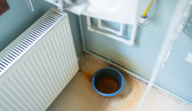 Best Flood restoration services  in Hollidaysburg, PA