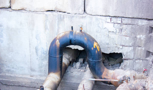 Best Basement water damage restoration  in Hollidaysburg, PA