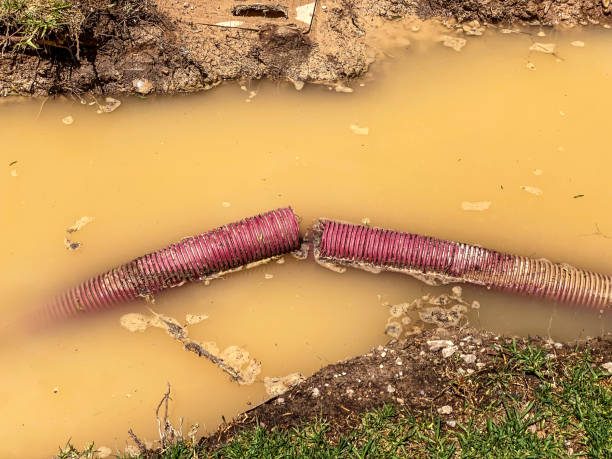Best Professional water damage repair  in Hollidaysburg, PA
