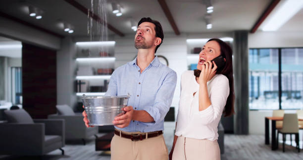 Best Basement water damage restoration  in Hollidaysburg, PA