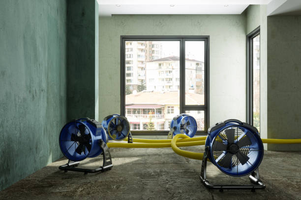 Reliable Hollidaysburg, PA Water damage restoration Solutions
