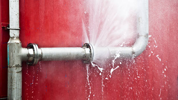 Best Water damage restoration near me  in Hollidaysburg, PA