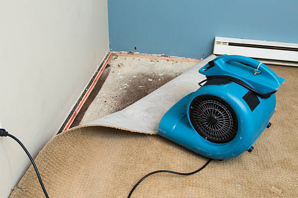 Best 24-hour water damage restoration  in Hollidaysburg, PA